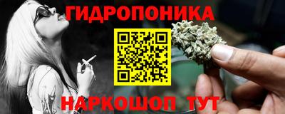 шишки Пушкино