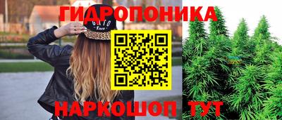 крисы Пыть-Ях